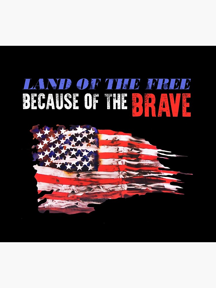 trhe land of the free because of the brave