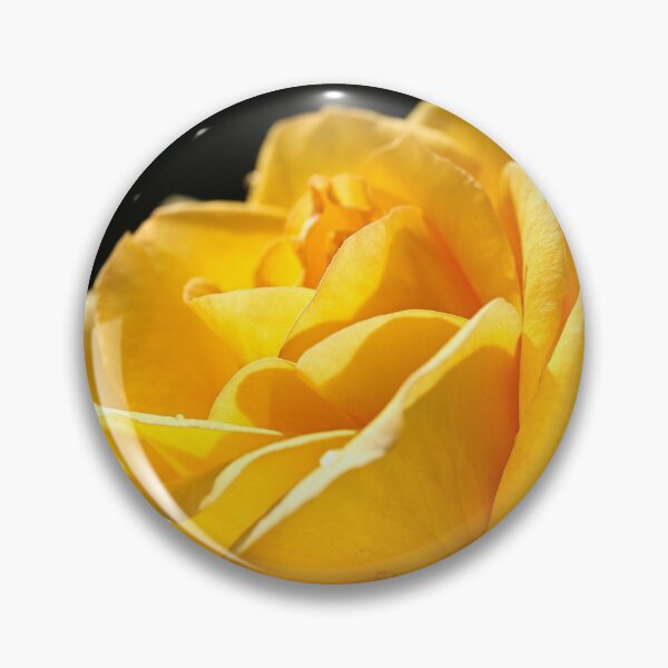 Item preview, Golden Rose designed and sold by Joy Watson - Natural Light Photography .