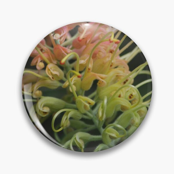 Item preview, Soft coloured grevillea  designed and sold by Lozzar Flowers & Art.