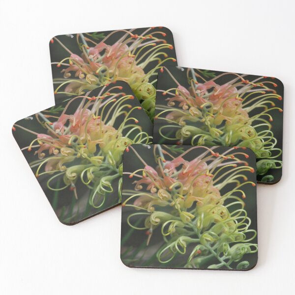 Item preview, Soft coloured grevillea  designed and sold by Lozzar Flowers & Art.
