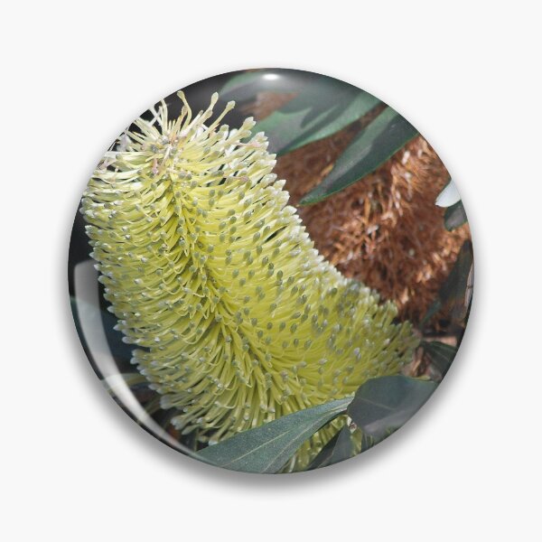 Item preview, Yellow banksia designed and sold by Lozzar Flowers & Art.