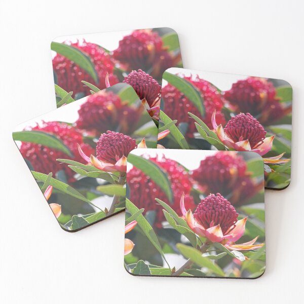 Item preview, The little red Waratah designed and sold by Lozzar Flowers & Art.