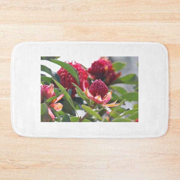 Item preview, The little red Waratah designed and sold by Lozzar Flowers & Art.
