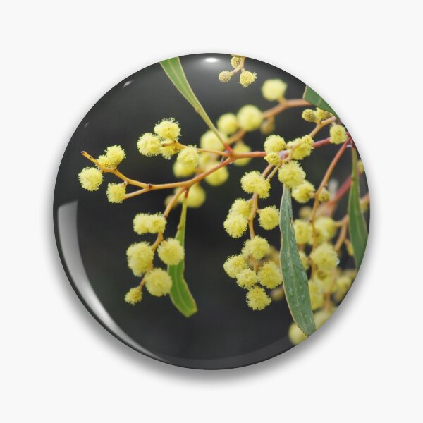 Item preview, Eucalyptus Yellows designed and sold by Lozzar Flowers & Art.