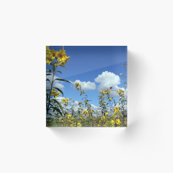 Tickseed and Monarch Acrylic Block