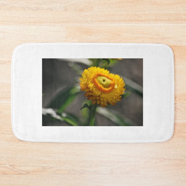 Item preview, Australian Paper Daisy designed and sold by Lozzar Flowers & Art.