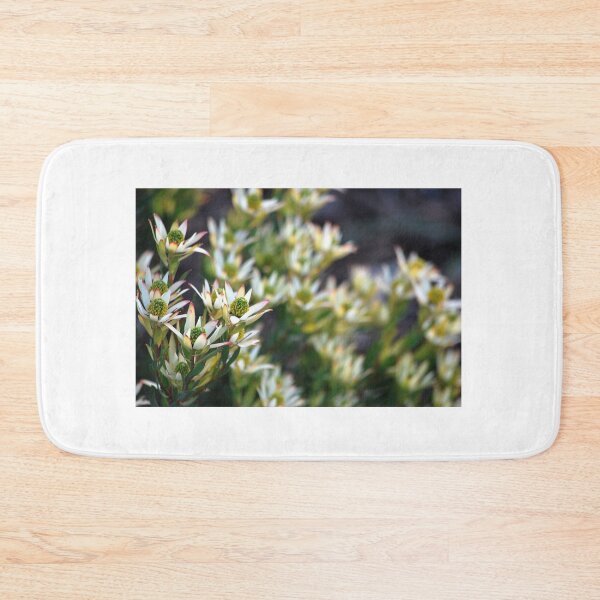 Item preview, Leucadendron by Lorraine McCarthy  designed and sold by Lozzar Flowers & Art.