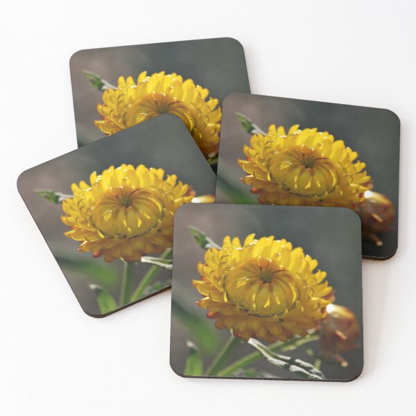 Item preview, Unfolding paper daisy by Lorraine McCarthy  designed and sold by Lozzar Flowers & Art.