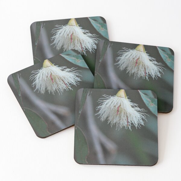 Item preview, Little Bloss designed and sold by Lozzar Flowers & Art.