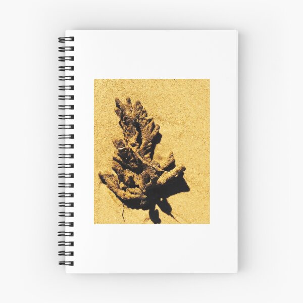 Item preview, Sea Sponge designed and sold by Andyt.
