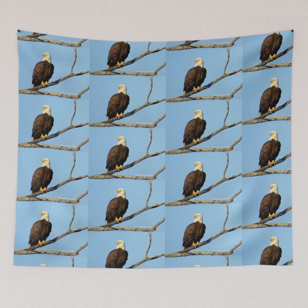 Item preview, Bald Eagle  designed and sold by Dianes-ART47.