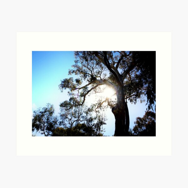 Item preview, By La Trobe's moat designed and sold by jayview.