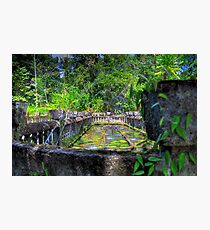 Paronella Park Photographic Print