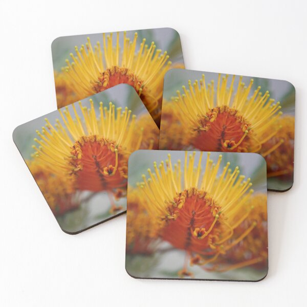 Item preview, Golden Grevillea, Silky Oak. designed and sold by Lozzar Flowers & Art.