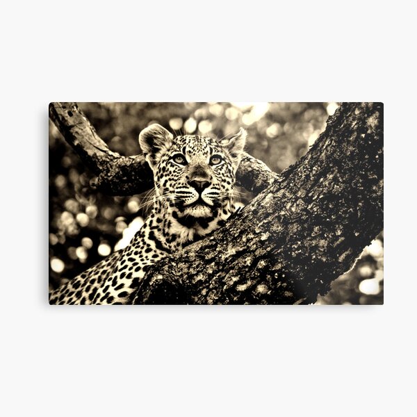 Leopard Metal Print