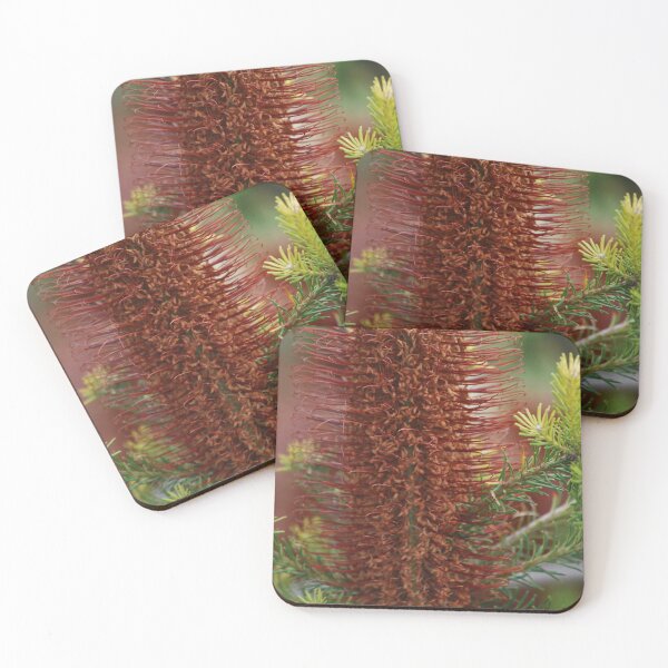 Item preview, Banksia Capture designed and sold by Lozzar Flowers & Art.