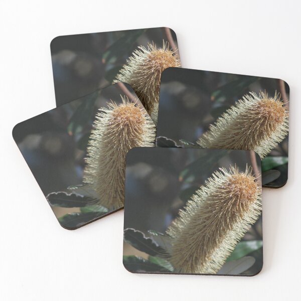 Item preview, Yellow Banksia designed and sold by Lozzar Flowers & Art.