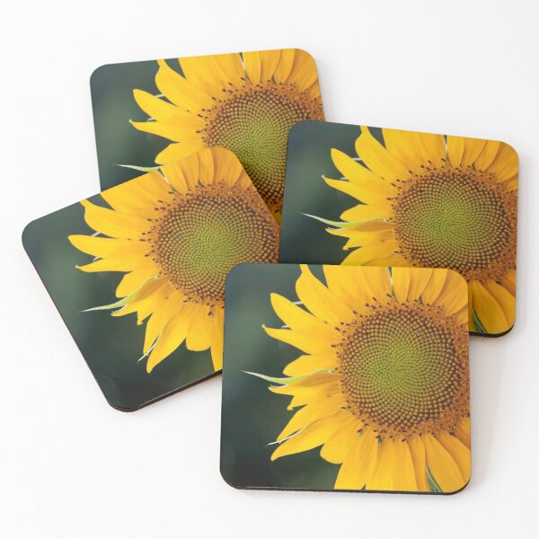 Item preview, Sunshine designed and sold by Jacquelie.