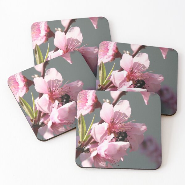 Item preview, Carpenter Bee On Peach Tree Blossom designed and sold by taiche.