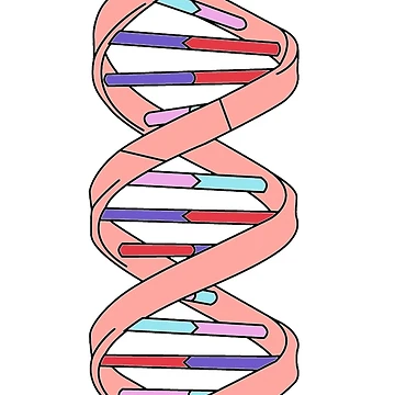 Artwork thumbnail, DNA by labstud