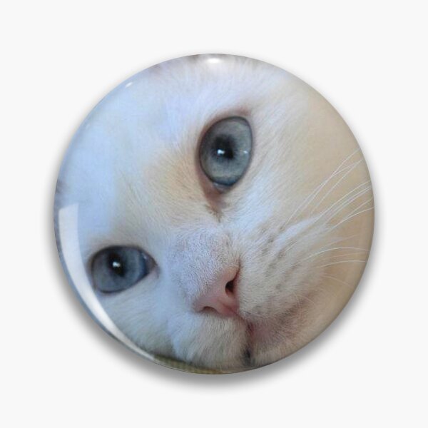Item preview, Portrait of A Blue Eyed Van Cat designed and sold by taiche.