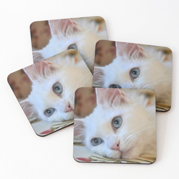 Item preview, Portrait of A Blue Eyed Van Cat designed and sold by taiche.