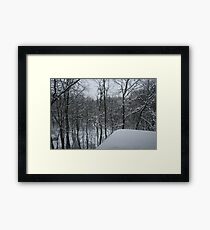 Winter Scene Framed Print