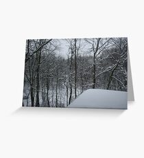 Winter Scene Greeting Card