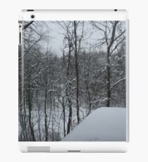 Winter Scene iPad Case/Skin