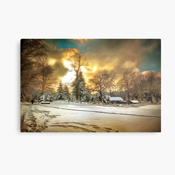 Winter Refuge Metal Print