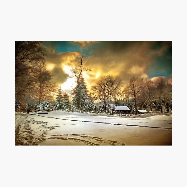 Item preview, Winter Refuge designed and sold by Nigel Finn.