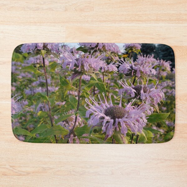 Item preview, Prairie Bergamot, Monarda designed and sold by rvjames.