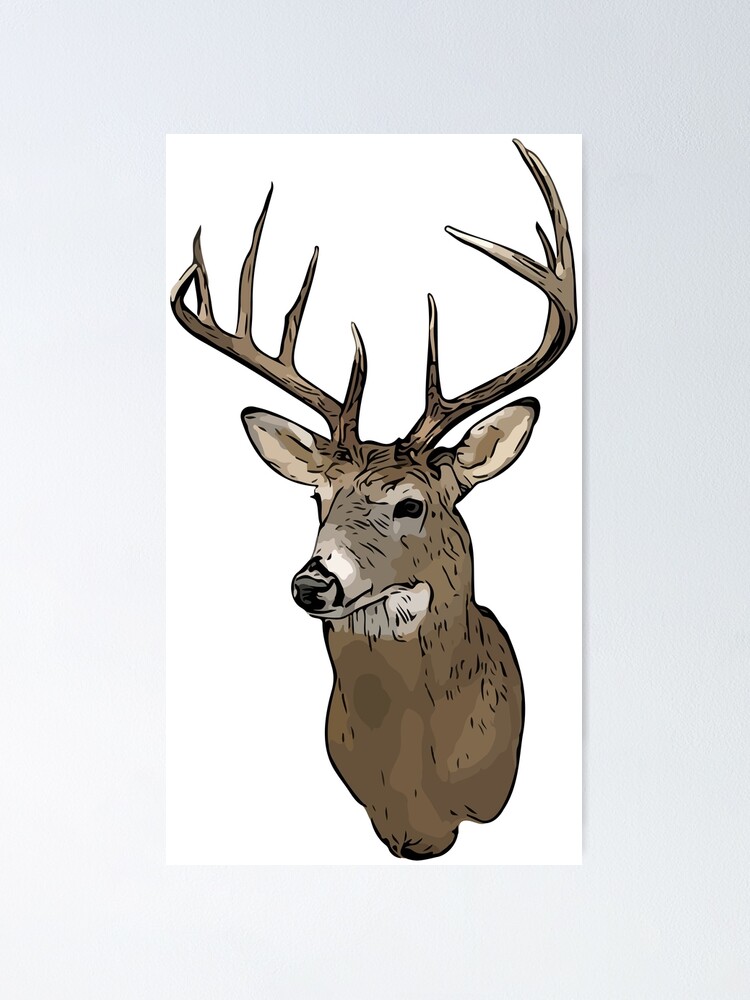 Whitetail Big Buck Illustrated Deer Head Wall Mount  Poster for