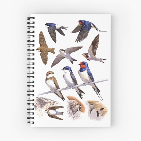 Artikelvorschau, Haus und Sand Martin Aquarellillustration. entworfen und verkauft von kokayart.
