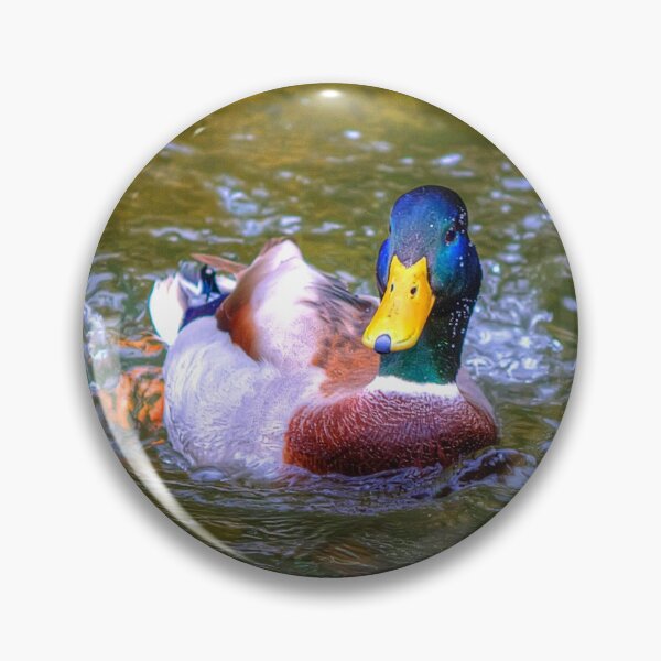 Item preview, Swimmy Duck designed and sold by Nigel Finn.