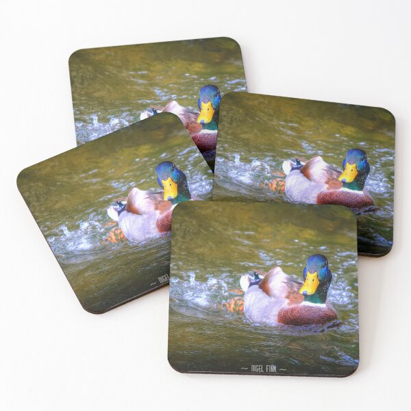 Item preview, Swimmy Duck designed and sold by Nigel Finn.