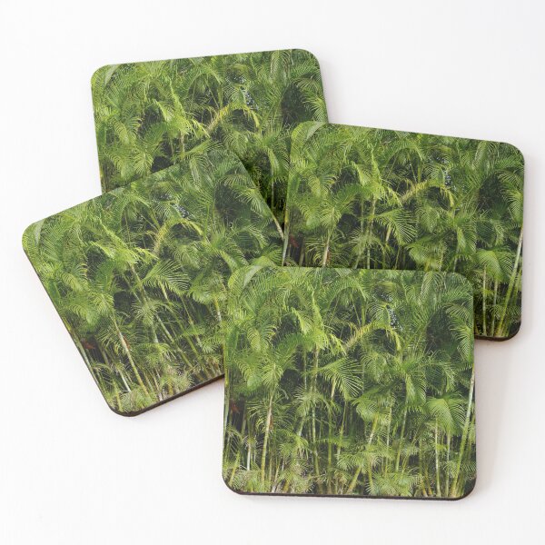Item preview, Palm tree jungle background - landscape photography palm trees designed and sold by ohaniki.