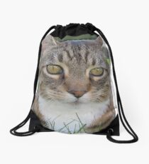 fat cat Drawstring Bag