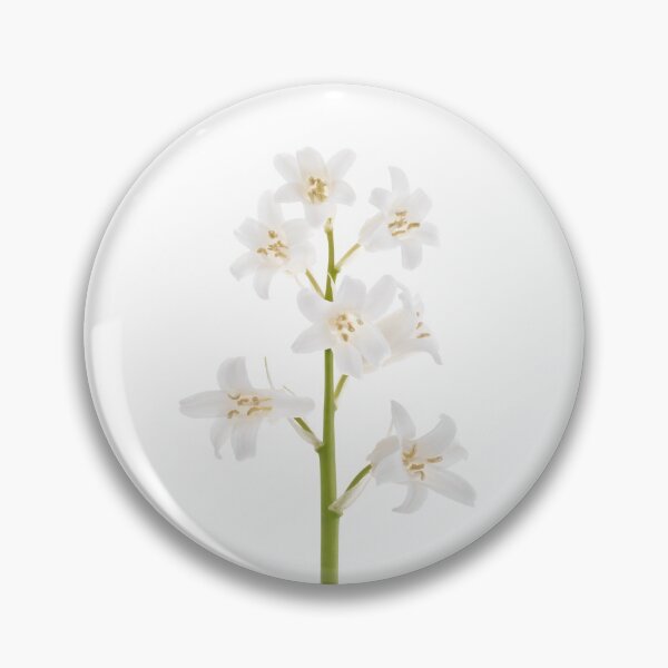 Item preview, White bluebell designed and sold by rheyes.
