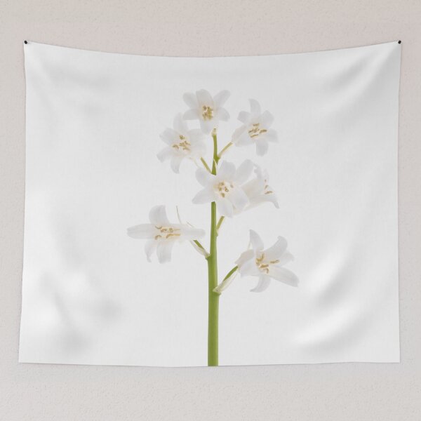 Item preview, White bluebell designed and sold by rheyes.
