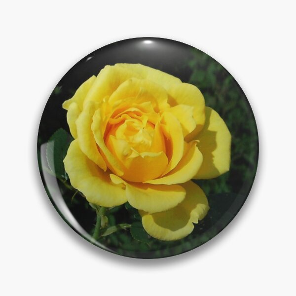 Item preview, Stop and Smell the Roses - Challenge Runner-up Banner designed and sold by BlueMoonRose.