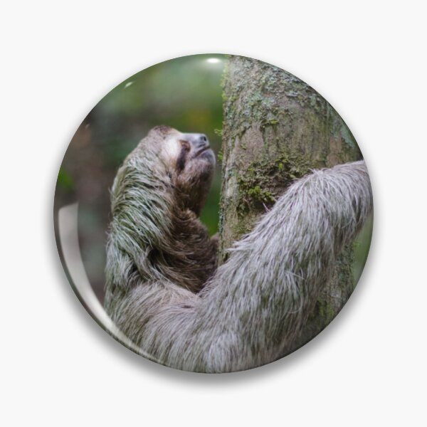 Item preview, Sloth designed and sold by madtoyman.