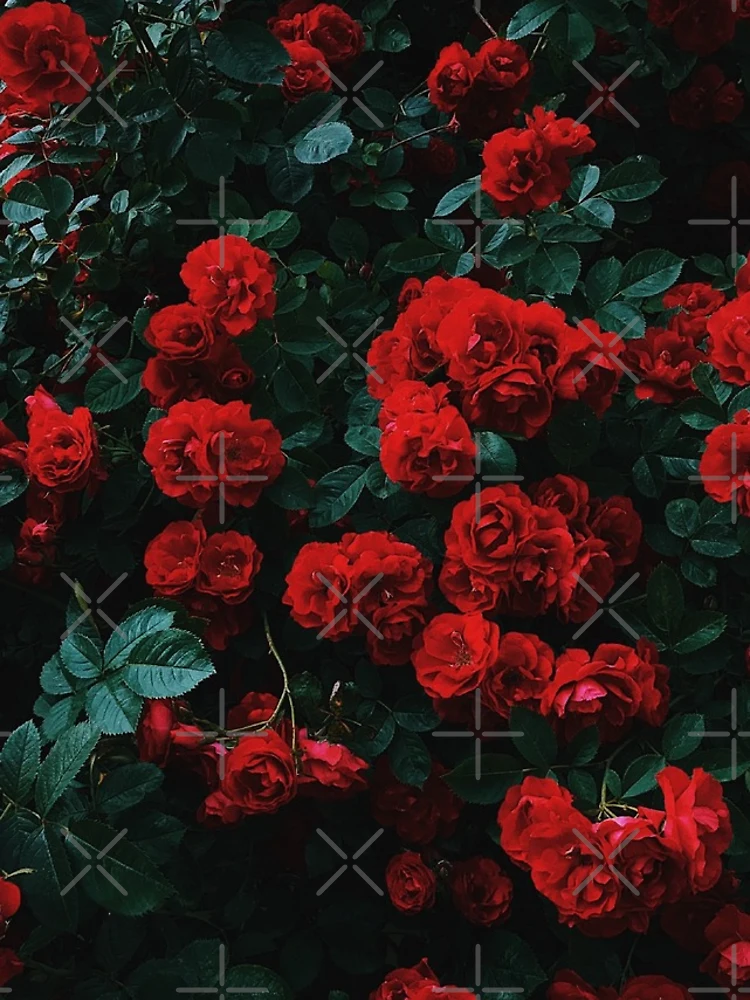Thumbnail 4 of 4, Samsung Galaxy Phone Case, Red Roses Floral Pattern designed and sold by Rakesh Murugan.