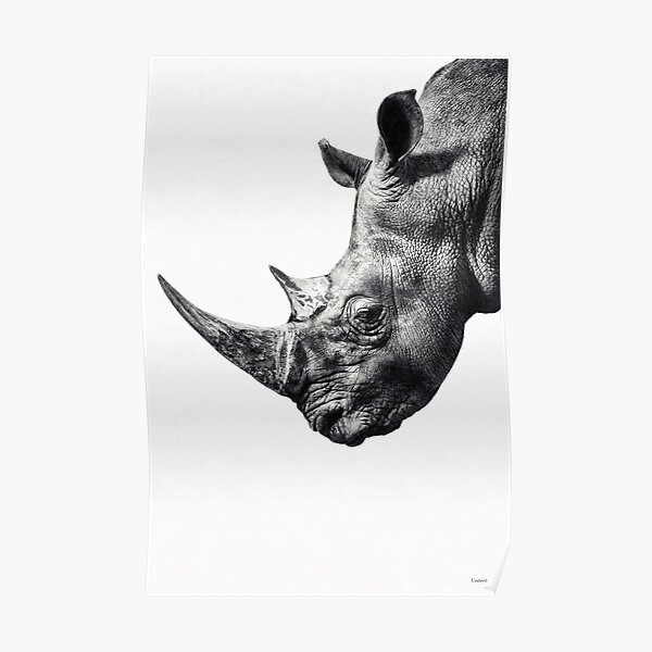 Rhino ... Poster