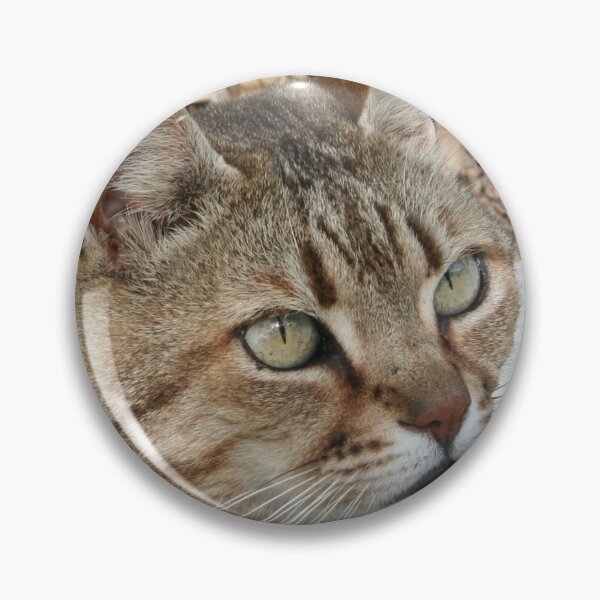Artikelvorschau, Porträt einer getigerten Katze entworfen und verkauft von taiche.