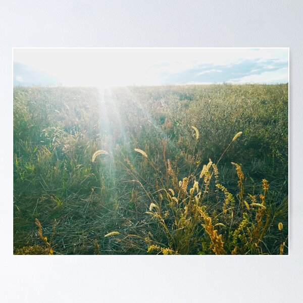 Item preview, Field poured with sunshine designed and sold by helenkaiy.
