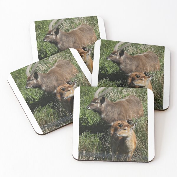Item preview, Sitatunga designed and sold by aquabella.