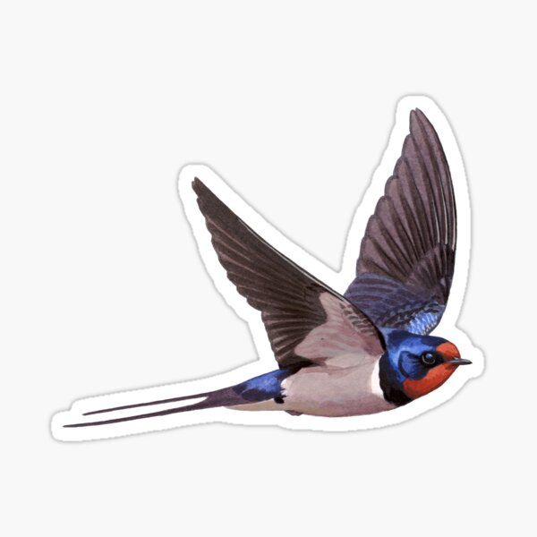 Swallow #2 sticker - bird mafia