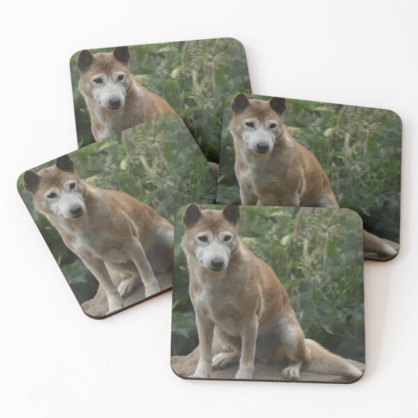 Item preview, New Guinea Singing Dog designed and sold by aquabella.