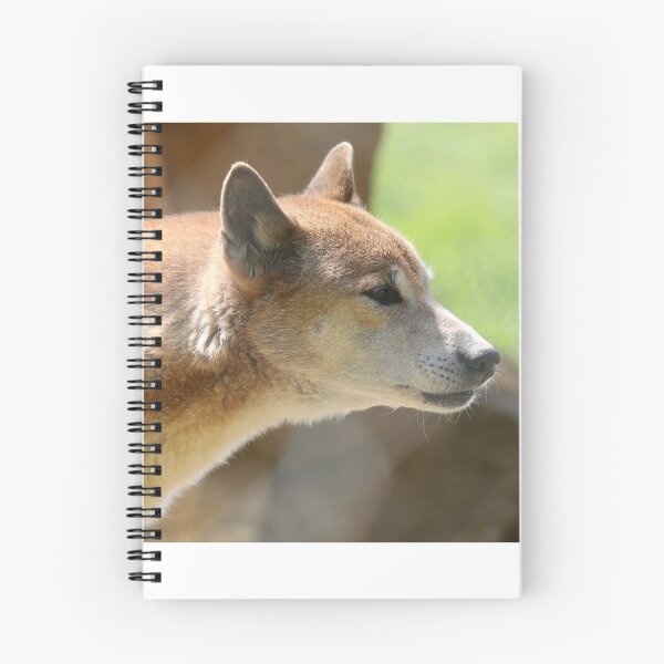 Item preview, New Guinea Singing Dog designed and sold by aquabella.